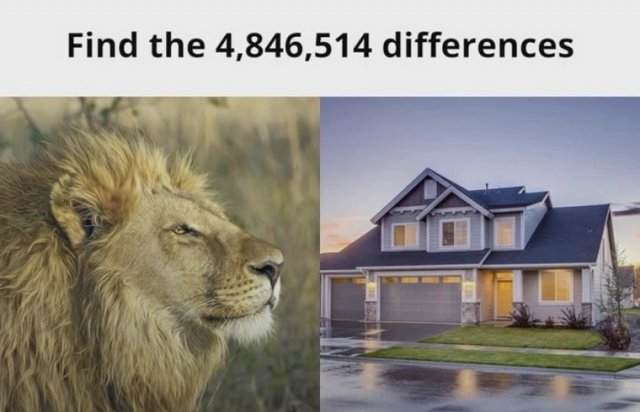 Funny Memes (38 pics) Funny Memes (38 pics)