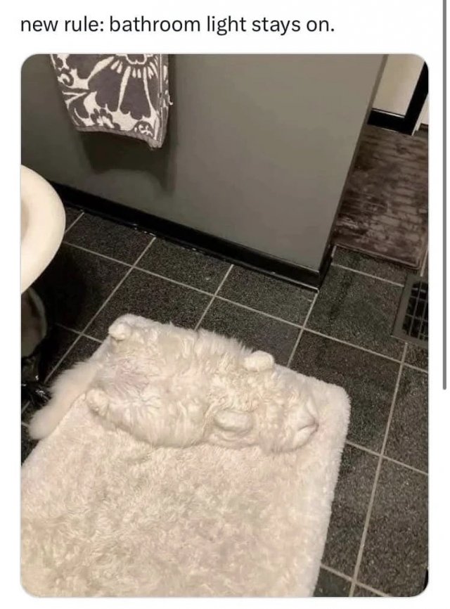 Funny Memes (38 pics) Funny Memes (38 pics)