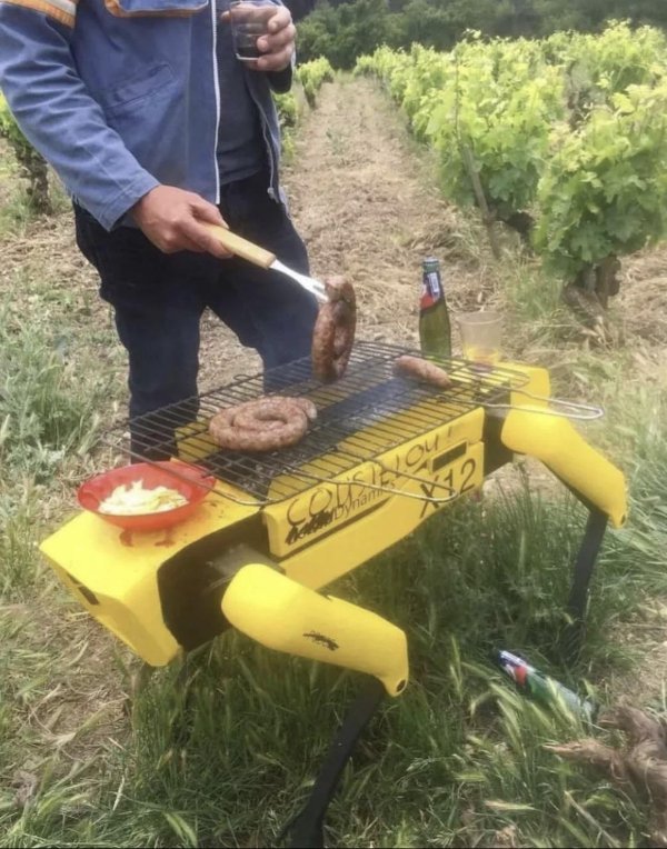 What Is Going On Here? (40 pics) What Is Going On Here? (40 pics)