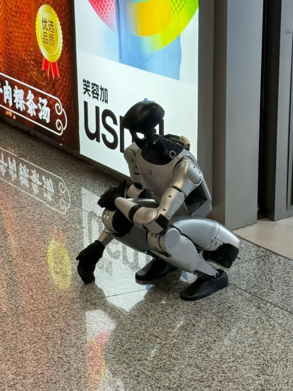 What Is Going On Here? (40 pics) What Is Going On Here? (40 pics)