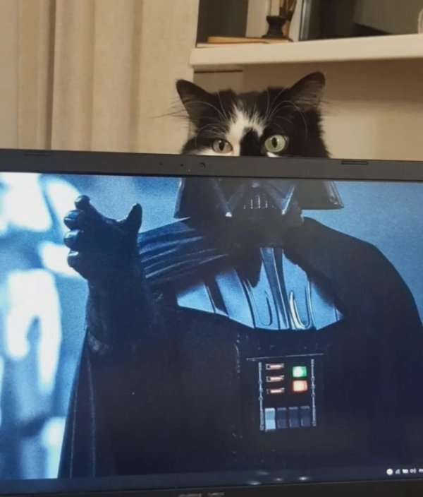 What Is Going On Here? (40 pics) What Is Going On Here? (40 pics)