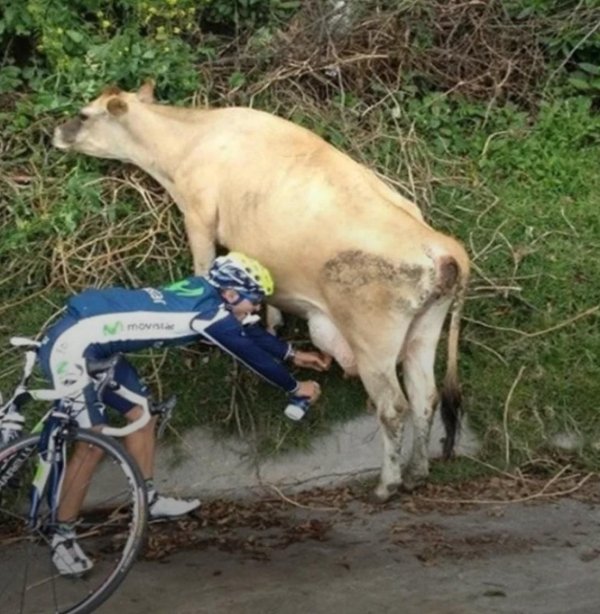 What Is Going On Here? (40 pics) What Is Going On Here? (40 pics)