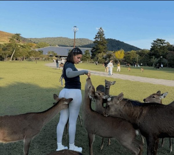 What Is Going On Here? (40 pics) What Is Going On Here? (40 pics)