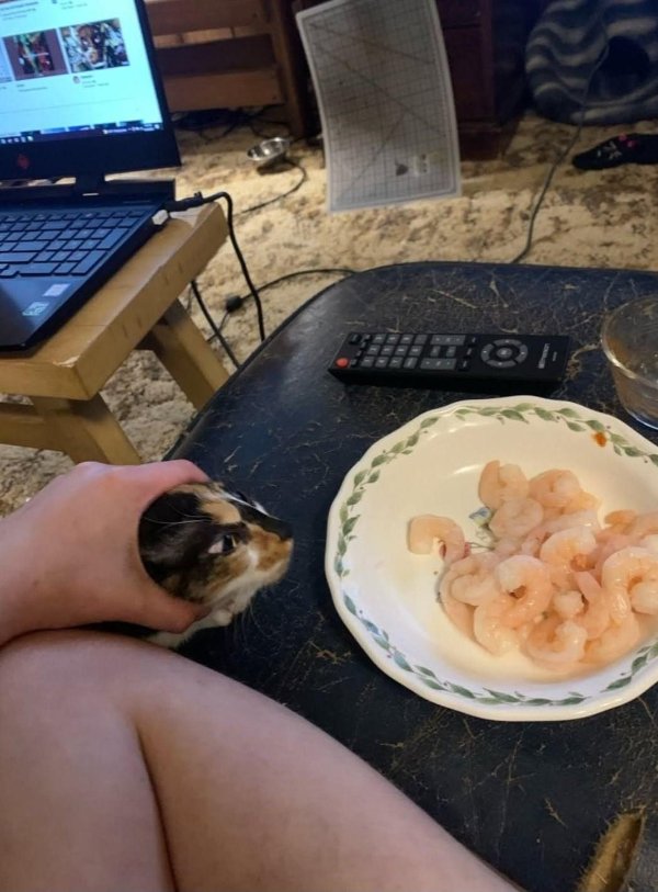 What Is Going On Here? (40 pics) What Is Going On Here? (40 pics)