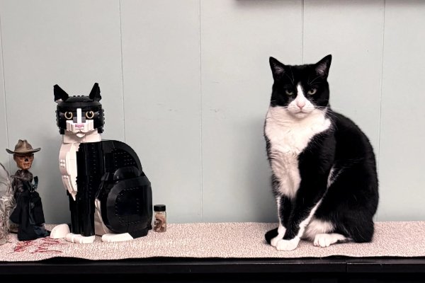 What Is Going On Here? (40 pics) What Is Going On Here? (40 pics)