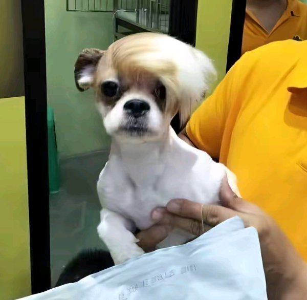 What Is Going On Here? (40 pics) What Is Going On Here? (40 pics)