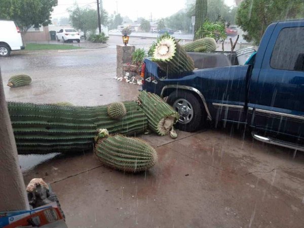 Bad Days Happen (25 pic) Bad Days Happen (25 pic)