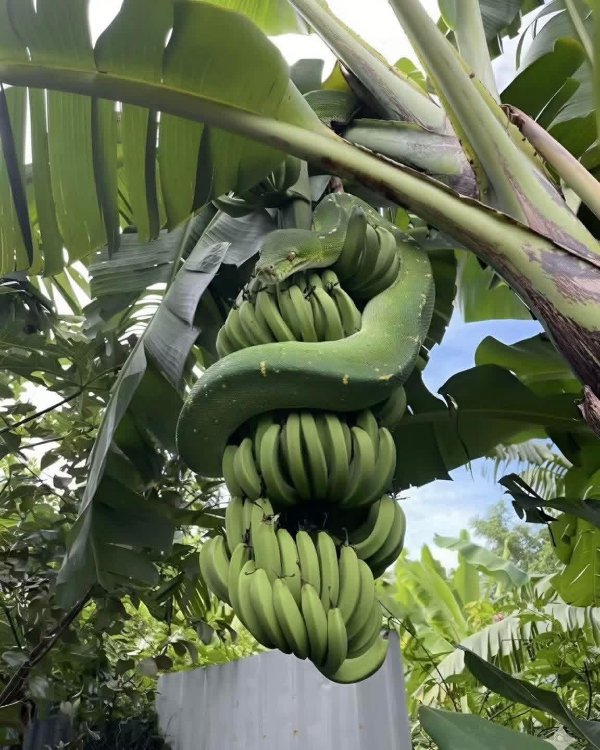 What Is Going On Here? (40 pics) What Is Going On Here? (40 pics)