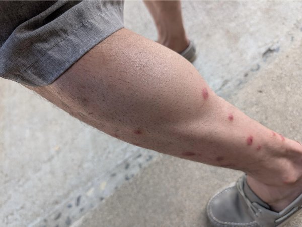 Bad Days Happen (25 pic) Bad Days Happen (25 pic)