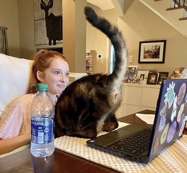 What Is Going On Here? (40 pics) What Is Going On Here? (40 pics)