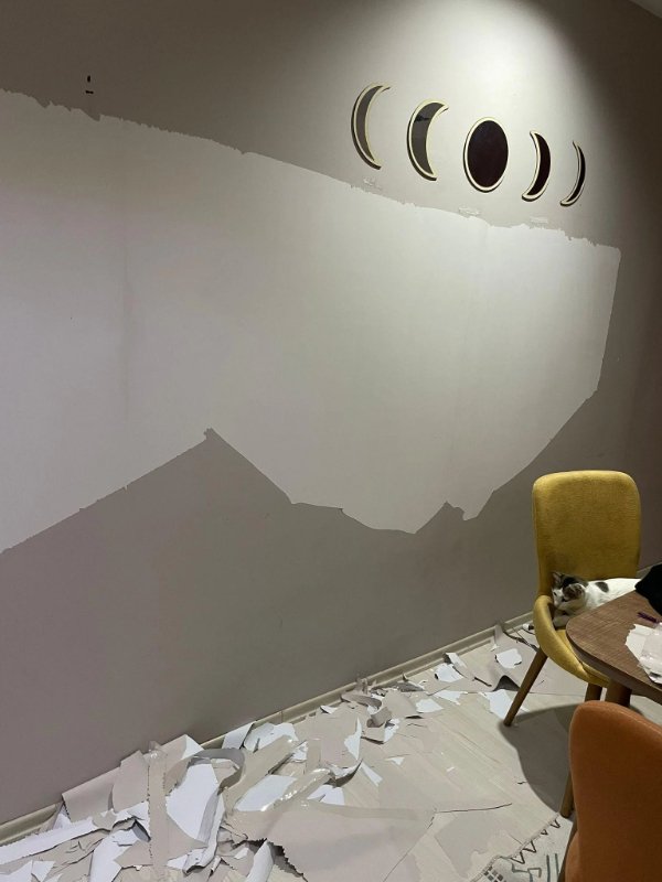 Bad Days Happen (25 pic) Bad Days Happen (25 pic)