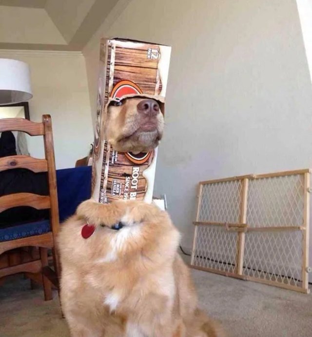 They Are Stuck (32 pics)