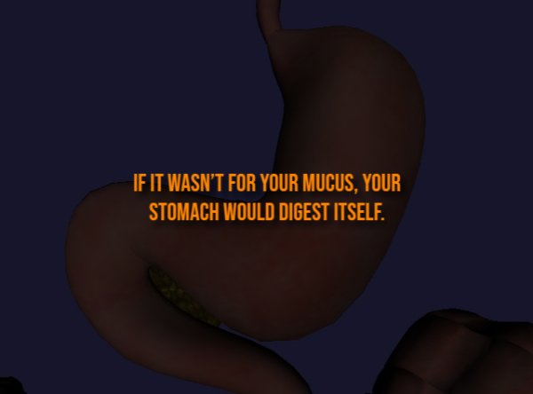 Creepy Facts (13 pics)