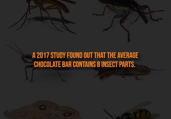 Creepy Facts (13 pics)