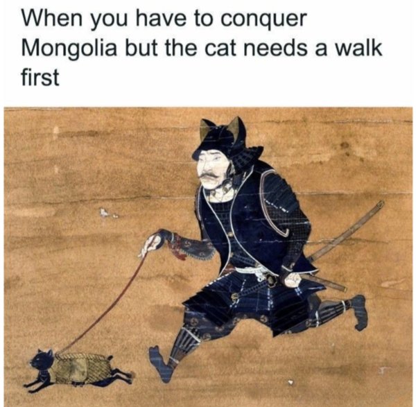 Jokes And Photos For Cats Lovers (29 pics)