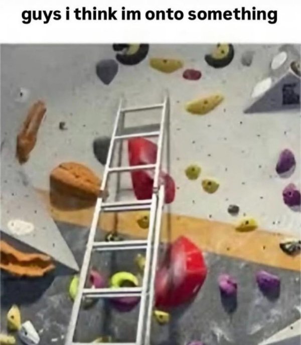 Truthful Memes (25 pics)