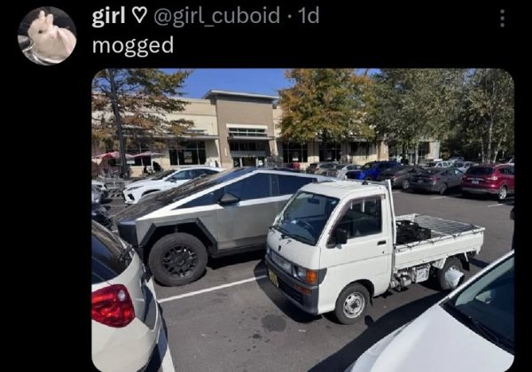 Truthful Memes (25 pics)