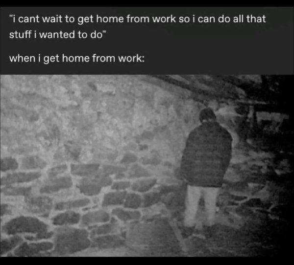 Truthful Memes (25 pics)