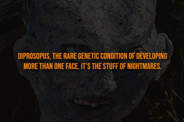Creepy Facts (13 pics)