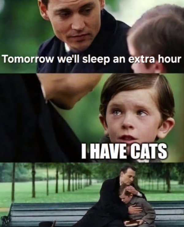 Jokes And Photos For Cats Lovers (29 pics)