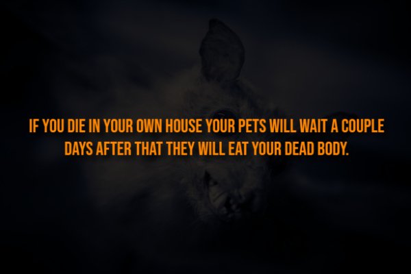 Creepy Facts (13 pics)