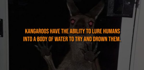 Creepy Facts (13 pics)