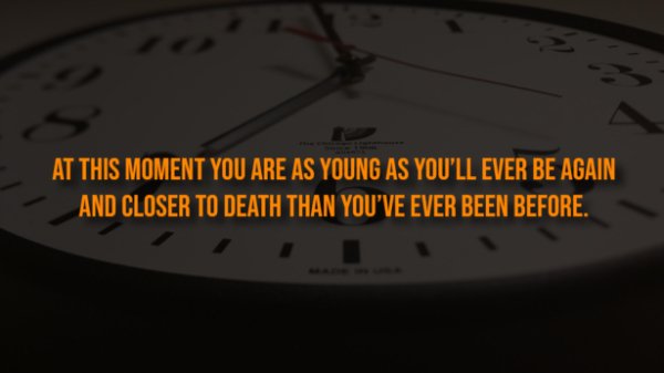 Creepy Facts (13 pics)