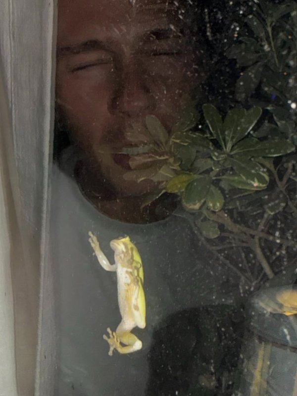 Truthful Memes (25 pics)