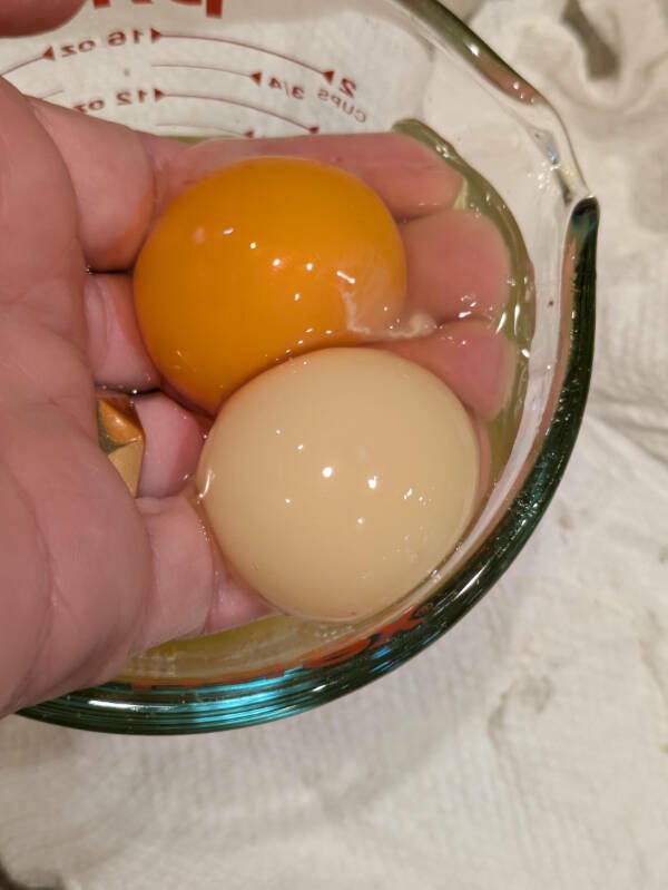 Interesting Finds (23 pics)