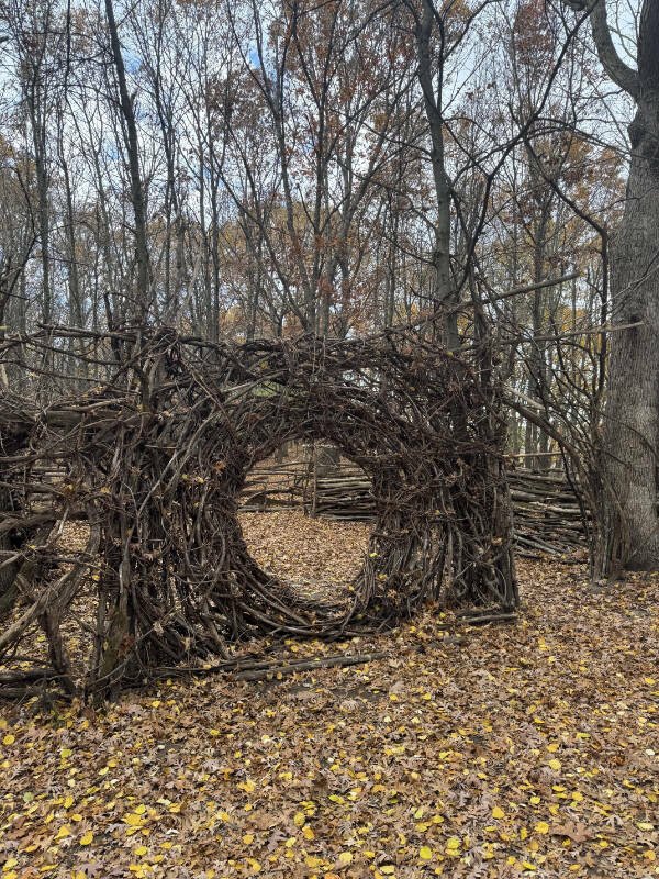 Interesting Finds (23 pics)