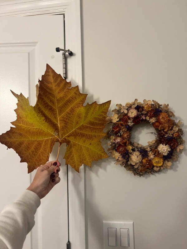 Interesting Finds (23 pics)