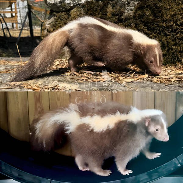 Interesting Finds (23 pics)