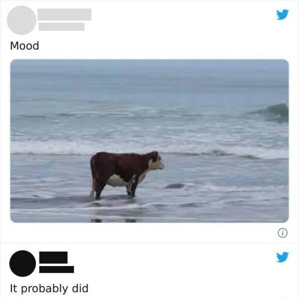 Funny Memes (16 pics)