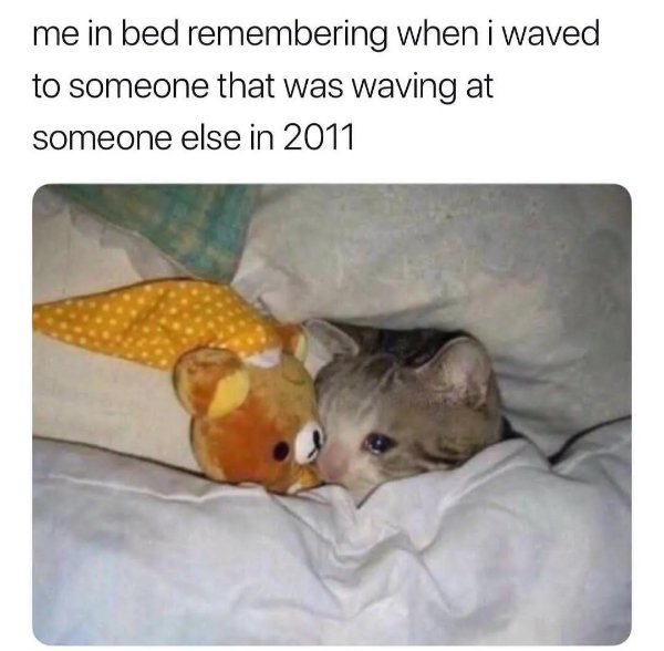 Funny Memes (36 pics)