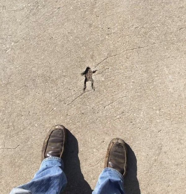 What Is Going On Here? (44 pics) What Is Going On Here? (44 pics)