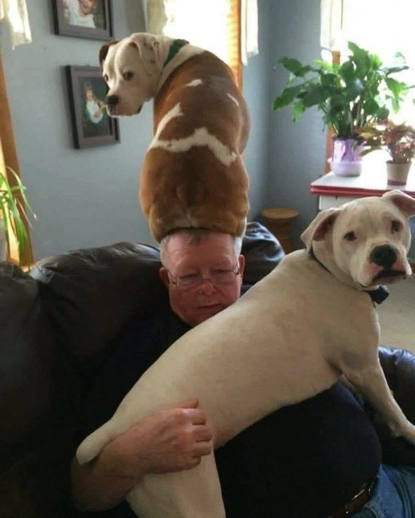 What Is Going On Here? (44 pics) What Is Going On Here? (44 pics)