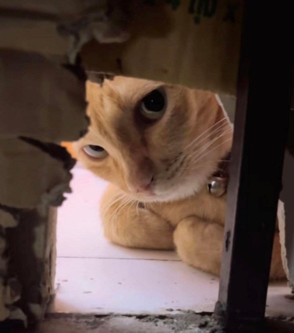 What Is Going On Here? (44 pics) What Is Going On Here? (44 pics)