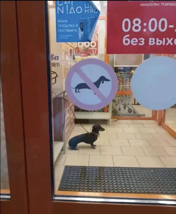 What Is Going On Here? (44 pics) What Is Going On Here? (44 pics)