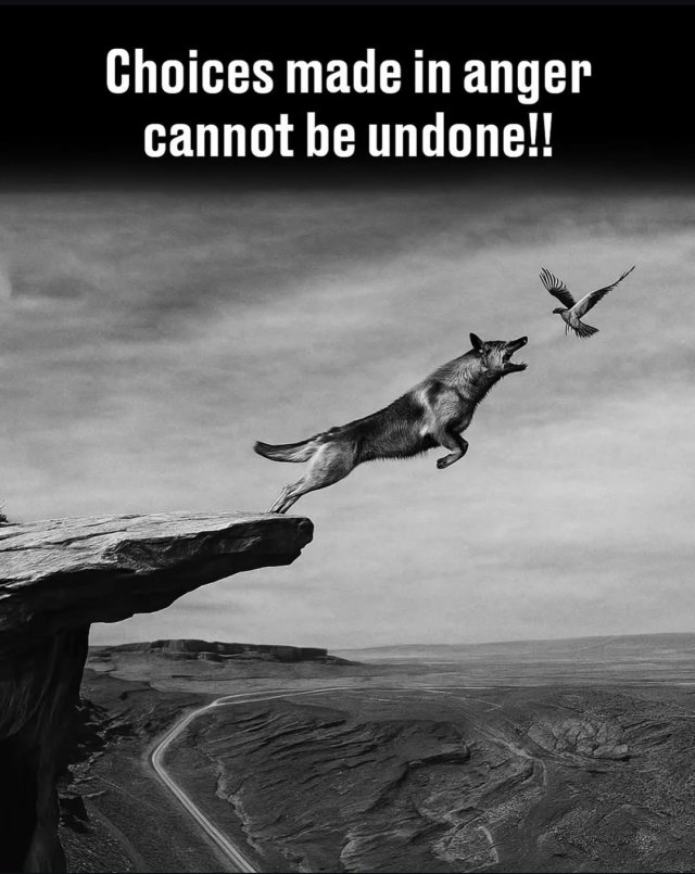 Wise Illustrations (28 pics)