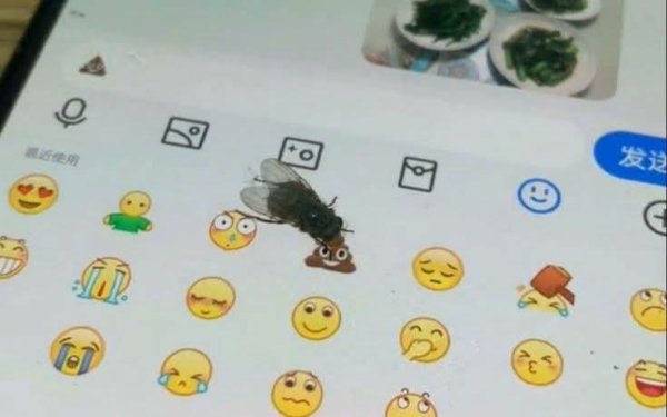 What Is Going On Here? (44 pics) What Is Going On Here? (44 pics)