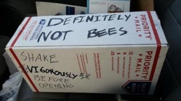 Truthful Memes (26 pics)