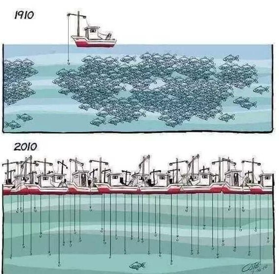 Wise Illustrations (28 pics)