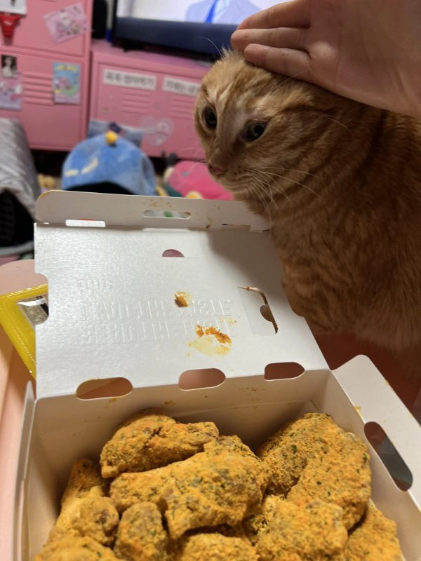 What Is Going On Here? (44 pics) What Is Going On Here? (44 pics)