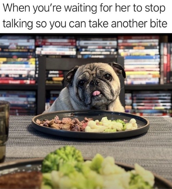 Random Memes (33 pics) Random Memes (33 pics)