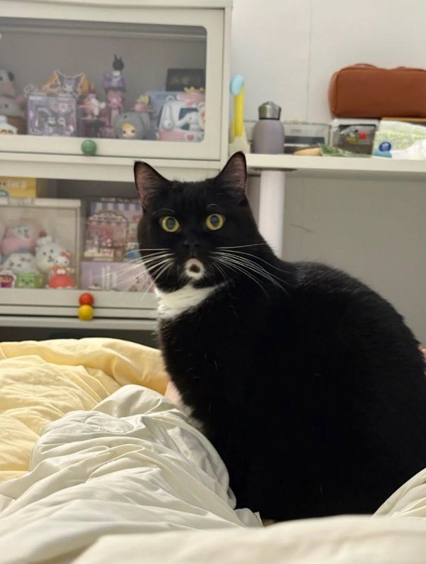 Optical Illusions (37 pics)