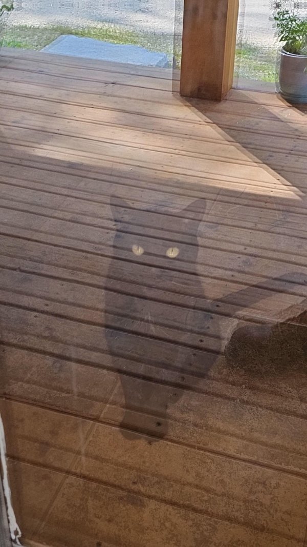 Optical Illusions (37 pics)