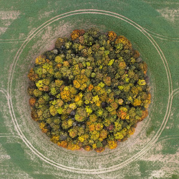 Optical Illusions (37 pics)