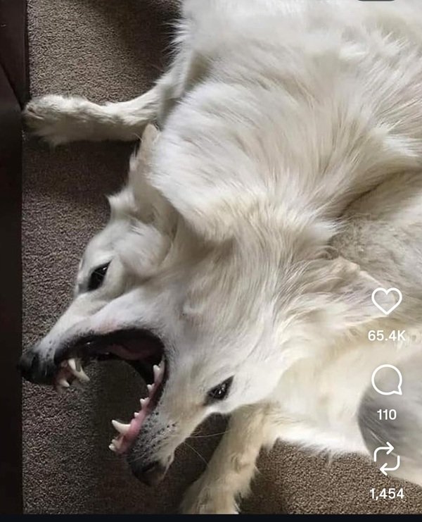 Optical Illusions (37 pics)