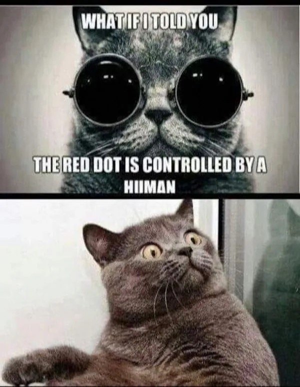 Random Memes (33 pics) Random Memes (33 pics)