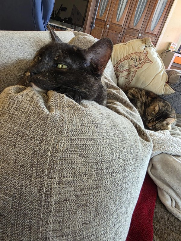 Optical Illusions (37 pics)